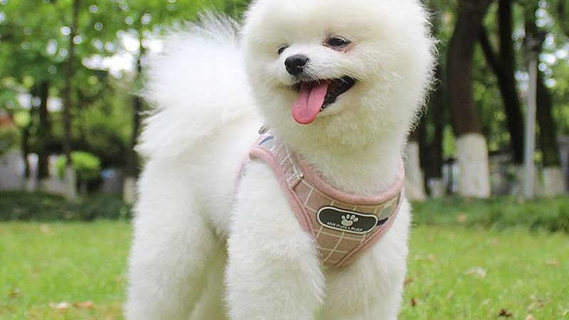 冷冻库加盟代理：投资回报背后的真实账本